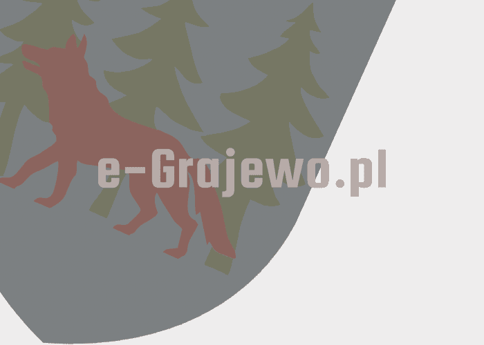 Grajewo ogłoszenia: Sprzedam koła 8.25-20 5szt.cena200zł.szt.